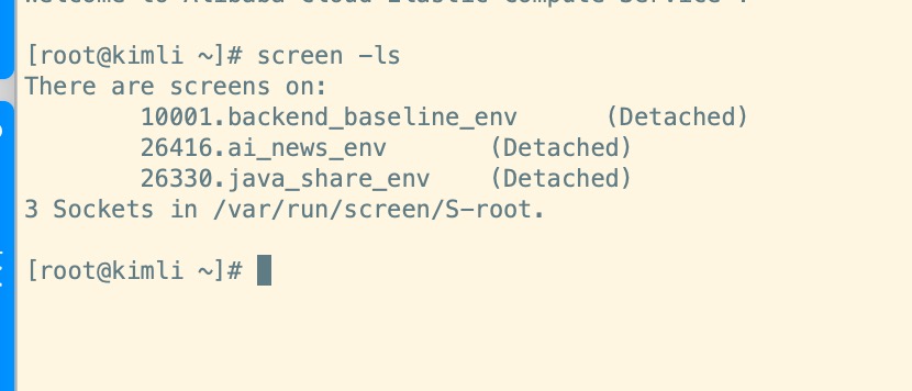 Linux系统screen后台运行程序
